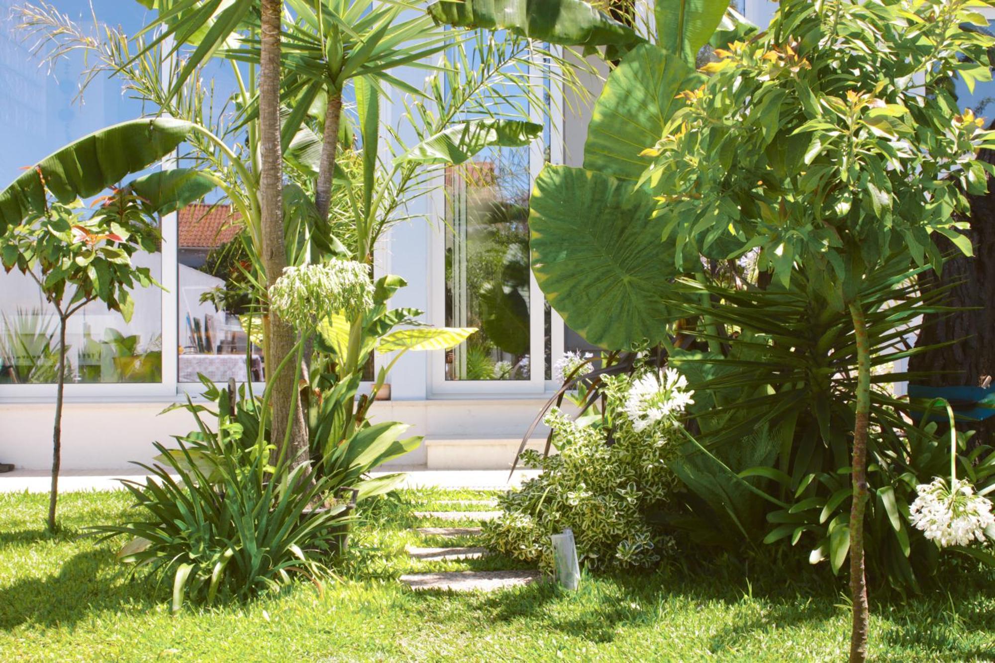 Vila Vale Guest House - Surf & Yoga Шарнека Экстерьер фото
